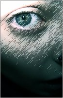 Unknown Bassist (bass, drums)